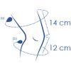 Thigh & Calf circumference